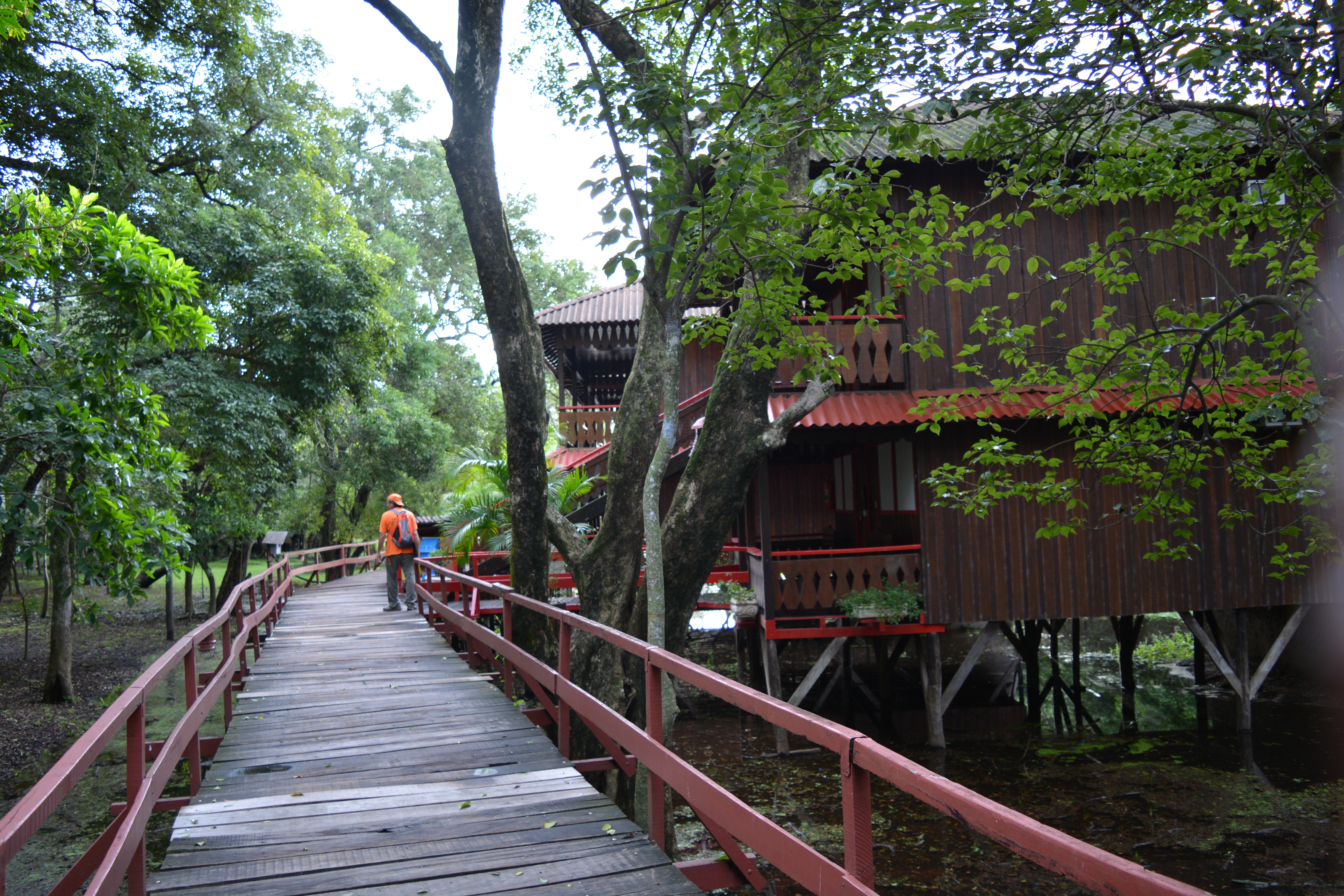 Casa en el Amazonas